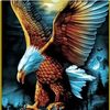 dody.kurniawan644