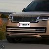 vip_qatar_plate