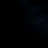 user153106840787