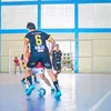 neti_lemos