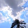 romaaa7_10_2008