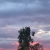 nosir_666