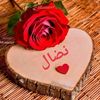 nidalhassan
