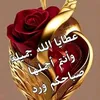 user3655111112544