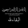 amal.mohamed8773