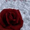 nesrin.www4