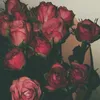 _ri7r9