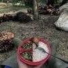 petani.muda842