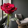 user5936115307061