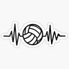 rafs.volleyball_br2