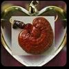 zeynep_kaymaz