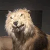 franckrfqbd