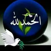 user44977865679026
