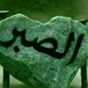 user62355012715310