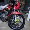 gnoyxscarlet