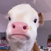 deomamaykk
