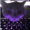 mrhunter518