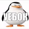 amirchik737