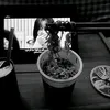 koreanculture.byeol
