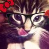 urlove_asyaaa