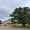 chokoredo