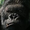 leekingkong87