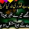 iqrabilli1
