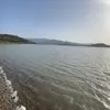 yassii_ne210