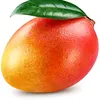 fitapenis