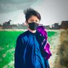 mushahidkhan3133