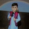 alibut.ali2389