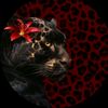 kitty_panther