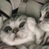 minnie_and_friends18