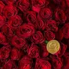 saaed_nerway