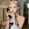 rose16_rose