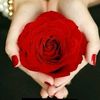 ghulam.husan8