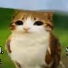 ilkxd0