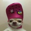 bootyslapper21