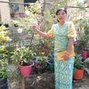 khin.thanda36