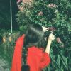 itx.haya00
