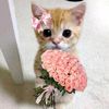 iiiloveoliver