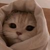 julia._.ibragimova