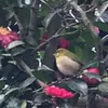 r022571