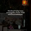 fazil.meong