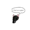 ..........nosequeponer