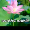 hiru.art8