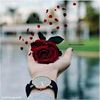 user948731061501