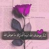 user73843326068267