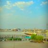 cout_s_786