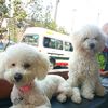mirian.janampa.gu
